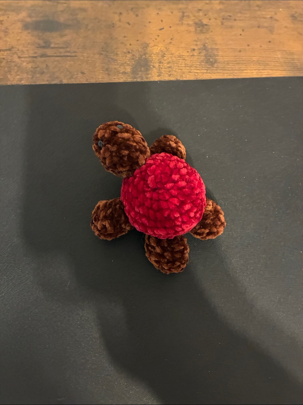 Crotched Turtle - Picture 5 of 7